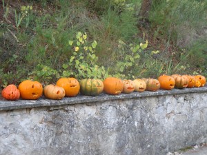 Jack-o-lanterns at CIPEC